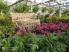 -南宫五洲植物乐园