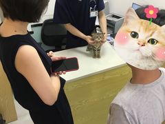 -中农大我爱我爱动物医院·核磁CT·猫病·24小时夜诊中心(石佛营店)