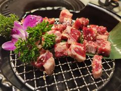特色牛肋条-猫抓烤肉(春熙路店)