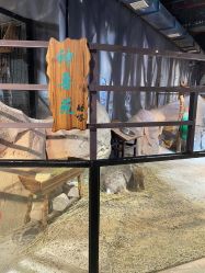 -酷嗒动物文化乐园(cutezoo西溪乐天城店)