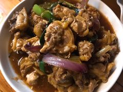 月里鸡-琼海温泉鹅农家饭店