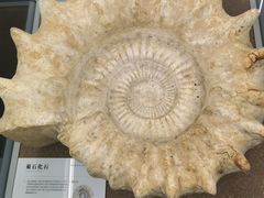 -天津古林古海岸遗迹博物馆