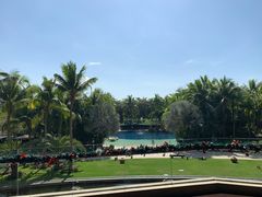 -三亚湾海居铂尔曼度假酒店