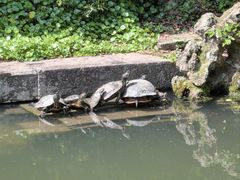 -宁波市保国寺古建筑博物馆