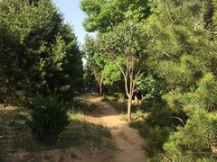-府君山公园