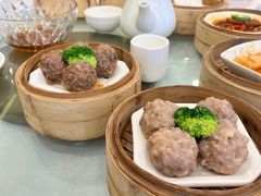 手打爽口牛肉丸-余荫居