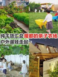 点击看大图 -小蜜蜂农场(凯德七宝购物广场店)