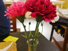 -食乐佳麻辣香锅(森林摩尔商业街区店)