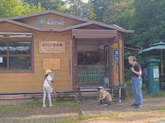 -五营红松林海景区