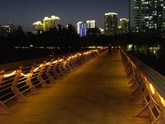 -金鸡岭桥头公园