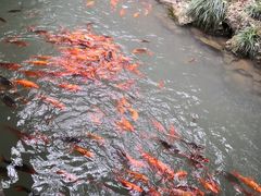 -灵栖洞天