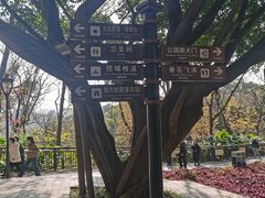 -金鸡山公园