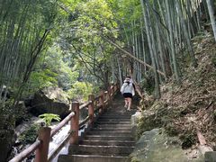-藏龙百瀑风景区