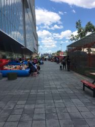 点击看大图 -萌宠亲子动物乐园(槐房万达店)