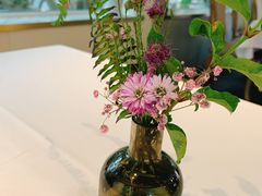 -蝶舍·MAISON PAPILLON