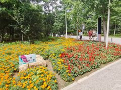 -长白岛森林公园