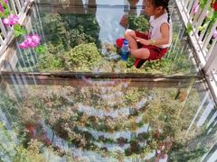 -牛鱼嘴原始生态风景区