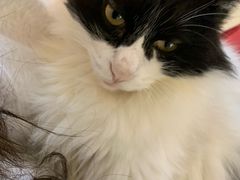-平行世界·猫咖(首经贸店)