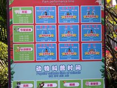 -灵玲国际马戏城