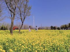 -西海岸生态观光园