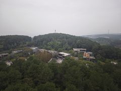 -铁山坪森林公园