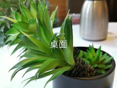 -山泉公馆酒家(珠江新城店)