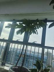 -HEYAN荷妍专业脱毛连锁机构