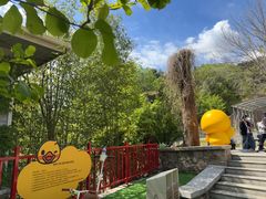 -燕塞湖鸟语林景区
