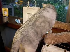 -咖法森林·咖啡  酒吧(天河店)