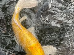 -什邡罗汉寺