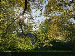 -上海共青森林公园