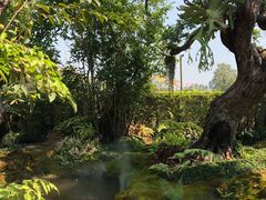 -Chom Cafe and Restaurant