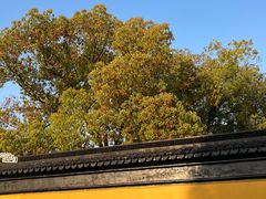 -西园戒幢律寺