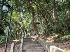 -灵顺寺