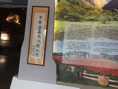 -龙泉青瓷博物馆