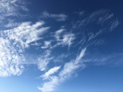 -大冬树山垭口