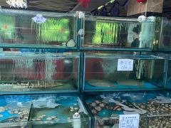 水产区-张记美食城