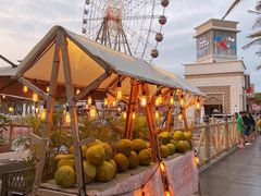 -三亚海昌梦幻海洋不夜城