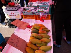 -三旗百汇商品城