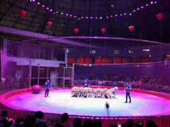 -西安秦岭野生动物园