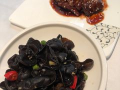 爽口小木耳-乾隆美食·本帮菜(黄河路店)