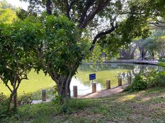 -人民公园(罗湖区)