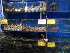 -蚝专家(北滘店)
