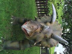 iphone_upload_pic-自贡恐龙博物馆