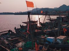 -青岛沙子口国家中心渔港