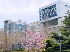 -桃屋日本料理(清华科技园店)