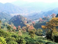 -西湖风景区十里琅珰-五云山