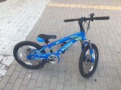 -道路口单车爱瓦士dahon大行