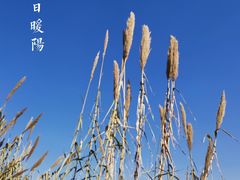 -沙家浜风景区