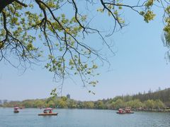 -西湖外事游船(花港观鱼码头)